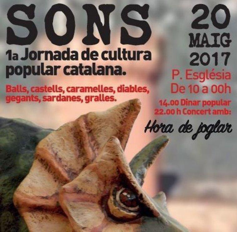 Aquest dissabte arriba Sons, primera jornada de la cultura ...