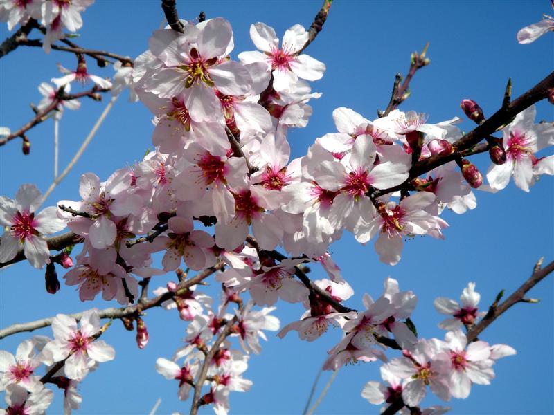 15 dichos populares del mes de febrero