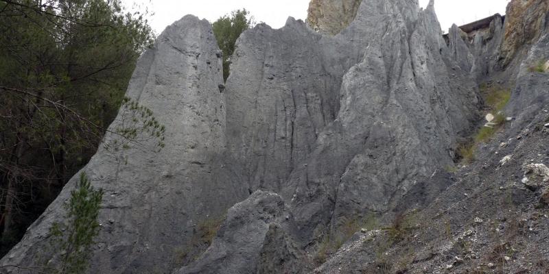 Ribes Blaves FOTO Olesa de Montserrat Turisme